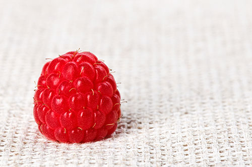 One red ripe raspberry fruit, on gray linen table cloth, macro